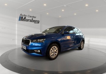 Skoda Fabia 4.500 km 20.980 &euro; Marsberg 34431