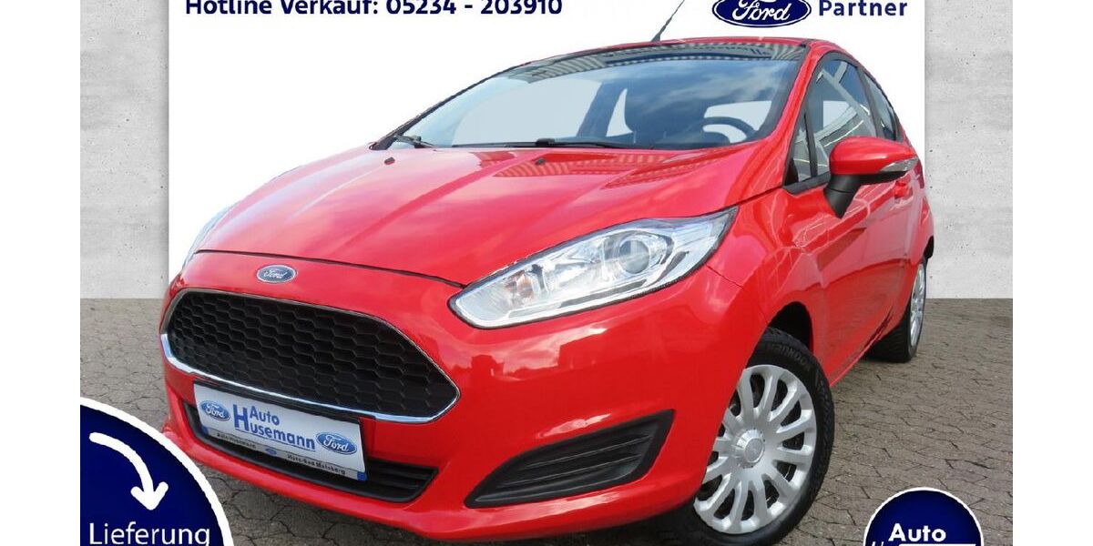 Ford Fiesta 172.000 km 4.900 &euro; Horn-Bad Meinberg 32805