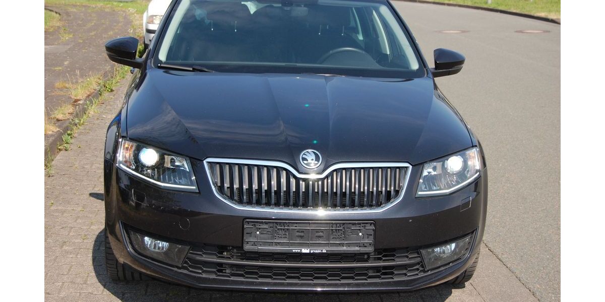 Skoda Octavia 110.000 km 11.950 &euro; Paderborn 33098